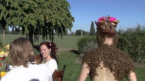Résultat de recherche d'images pour "covered in bees"