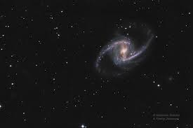 Image result for NGC 1365