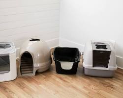 different types of litter boxes for catsの画像