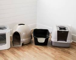 Hình ảnh về Litter boxes