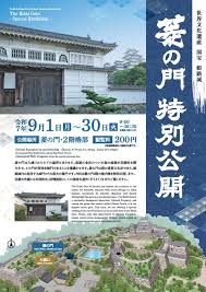 毎日新聞 - News update