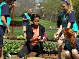 Image result for NATO Girl Scouting  