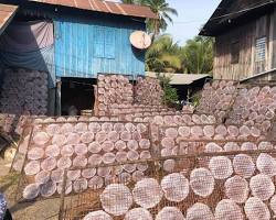 Image of Battambang Paper Making Project
