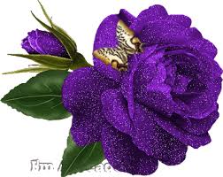 images?q=tbn:ANd9GcSHEqMpACHg5Fs00cPlQPdmwXgf2sysXRDHYCfveicBC0uToj4Frg