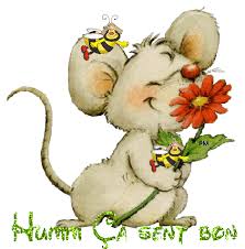 Résultat de recherche d'images pour "clipart fleurs printemps gratuit"