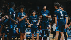 Melbourne United - News update