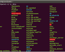Image of Bin directory in Linux