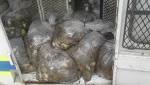 busted with abalone worth R500k