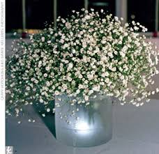 Resultado de imagem para flor mosquitinho arranjos