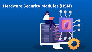 unlock niche Exploring Niche Opportunities in Hardware Security Modules (HSM) Market