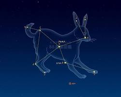 うさぎ座の星座