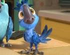 Rio 2 cast parrots singing let it go <?=substr(md5('https://encrypted-tbn3.gstatic.com/images?q=tbn:ANd9GcSHov7ll0qG_nKiQHmuwhGVpLXcSweRTWPoHPSAmAXCVNSE8tjYvJANJVA'), 0, 7); ?>