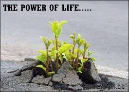 Finest 7 distinguished quotes about more power photo German ... via Relatably.com