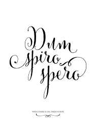 Latin Quotes on Pinterest | Latin Sayings, Latin Phrases and ... via Relatably.com