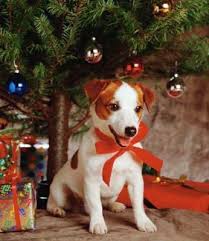 images?q=tbn:ANd9GcSI2QaHMxbN3TLVc6WBkle