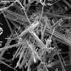 Story image for Mesothelioma Rates from Bangor Daily News