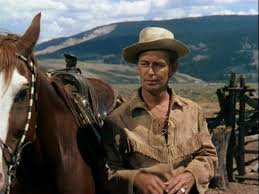 Resultado de imagem para Alan Ladd