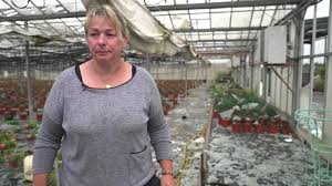 France 3 Régions - News update