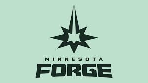 Twin Cities' new professional women's volleyball team unveils official name: Minnesota Forge