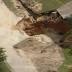 Lots of rain could lead to sinkholes on state's west coast