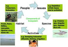 Image result for organisms and their environment