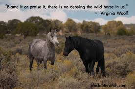 Horse Quotes &amp; Cowgirl Quotes | Colorado Dude Ranch Vacations via Relatably.com