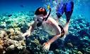Best Place For Snorkeling Panama City Beach Adventures at Sea