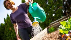 Affinity Water widens hosepipe ban due to very hot weather — BBC