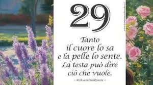 VeronaSera - News update