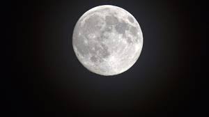 News source: Midi Libre