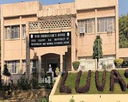 Image of Sports Facilities at Lala Lajpat Rai University of Veterinary & Animal Sciences