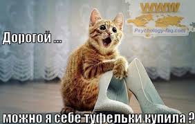 https://encrypted-tbn3.gstatic.com/images?q=tbn:ANd9GcSIoRAldtHvPP2gVp-BDnkjVwh5FyUVHvI_UlknGwfbp3ICcJME