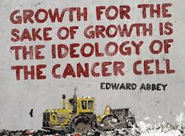 Edward Abbey | Luca Leonardini via Relatably.com