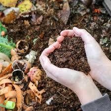 Closter Nature Center | 🌿 Got a green thumb and want to help the environment while gardening? 🌱 Join us this Sunday at 2 pm at the Nature Center Cabin to learn... | Instagram