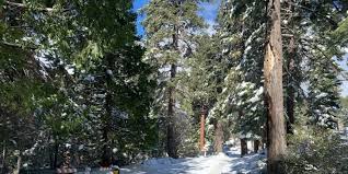 Lake Tahoe Winter Updates: Road Closures and Heavenly Village Ice Rink