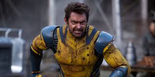 MovieWeb - News update