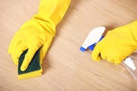 household disinfectant spray ile ilgili görsel sonucu