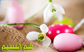 صورة ذات صلة