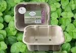 1Biodegradable Packaging for Food