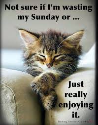 lazy Sunday
