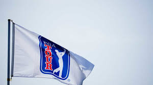 Liv Grinberg betting profile: The Open Championship