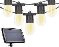 Image of String Lights for Backyard BBQ Party