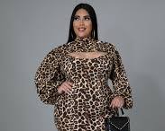 Image of Donda Animal Print Dress Set