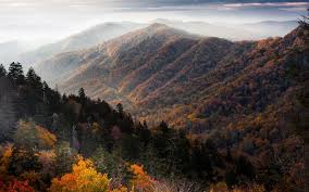 clingmans dome