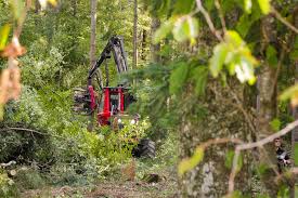 A412 work can continue as court orders biodiversity measures