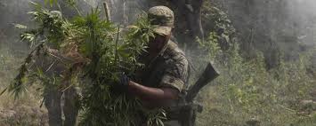 Resultado de imagen de Legalization