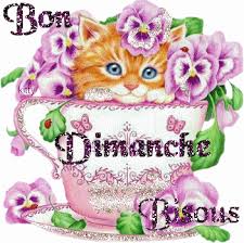 Dimanche 14 décembre Images?q=tbn:ANd9GcSJe61bOHpbSnjB0AWshOeXkpdc7wShrxbHyADELHmaiNNcV5MW