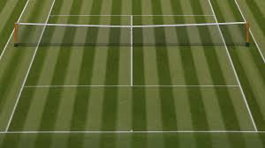 Watch Zhizhen Zhang (CHN) vs. Adrian Mannarino (FRA) (Quarterfinals) | Disney+