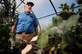 Forest Service Cuts Would Devastate Years Of Hawaiʻi Research, Experts Warn