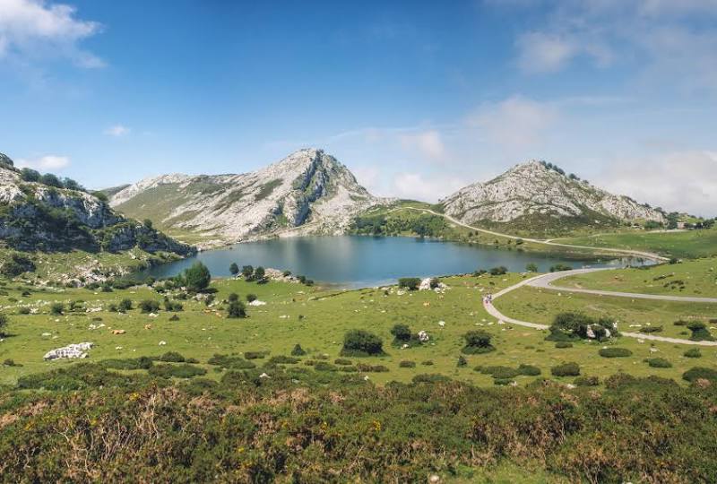 Picos de Europa